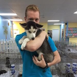 Meet your Posher, Justin